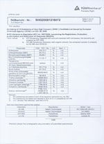 Inspection report-yellow-English-2